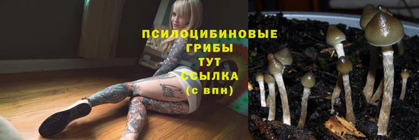 гашишное масло Пересвет